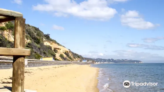 Hawker Beach