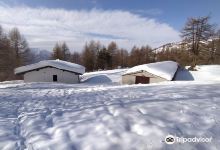 Azienda Agricola Lisa Ettore景点图片