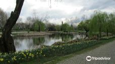 Bursa Botanical Park-布尔萨