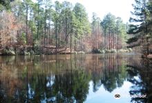 Logoly State Park景点图片