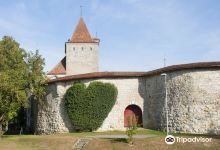 Nidau Castle Museum景点图片
