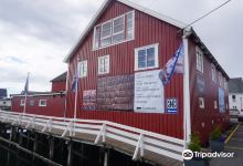 Northern Norway Art Centre景点图片