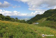 忘忧亭景点图片