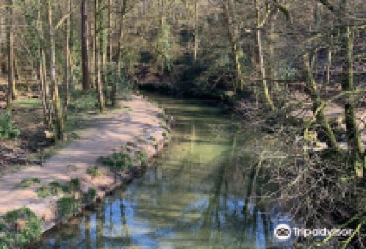 普利姆河景点图片