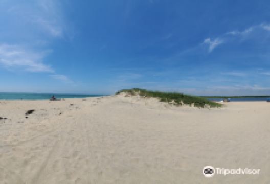 Long Point Wildlife Refuge景点图片