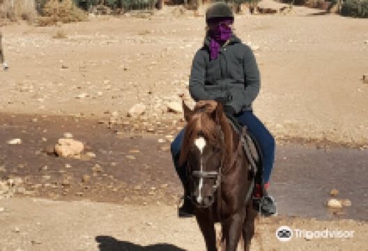 Morocco Horse Back景点图片