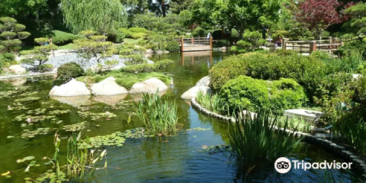 艾爾伯恩斯米勒日本花園