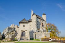 Royal Castle Bobolice-梅什库夫县