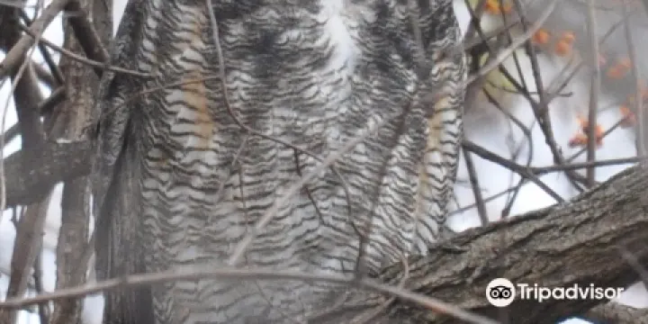 Wintergarden Nature Preserve