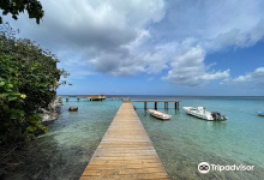 The Diveshop Curacao购物图片