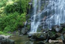 Baiyu Waterfall景点图片