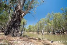 Lower Ovens Wildlife Reserve景点图片