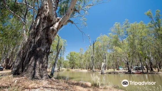 Lower Ovens Wildlife Reserve