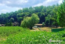 Sentier de la Vallee de la Brague景点图片