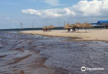 Acutuba Beach景点图片