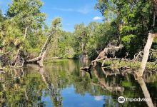 Wekiva Island景点图片