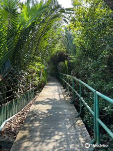 Sri Nakhon Khuean Khan Park and Botanical Garden-Bang Kachao