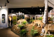 International Wolf Center景点图片