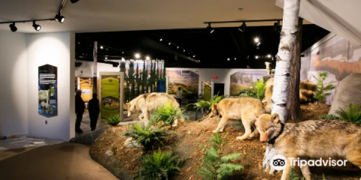 International Wolf Center