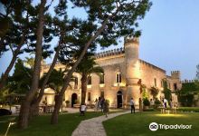 Castello Monaci景点图片