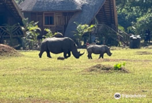 Safari with Edris景点图片