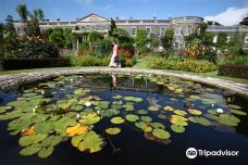 National Trust - Mount Stewart-纽敦纳兹