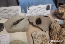Geological History Museum Olympus景点图片