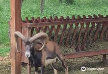 Zoo Parc Calarasi景点图片