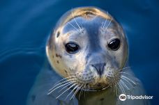 Seaquarium-勒格罗－迪鲁瓦