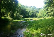 Limestone Way / Bradford River Walk景点图片