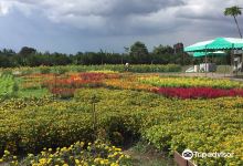 Mariano's Blooming Agri-Tourism Park景点图片