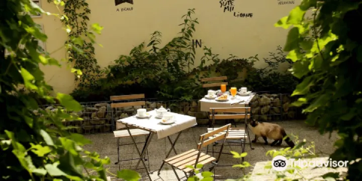 Ratiu Center for Democracy