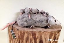 Birdmouse景点图片