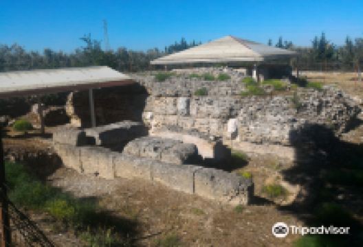 Mausoleum Barbarossa (I sec. B.C. - first century. A.D.)景点图片
