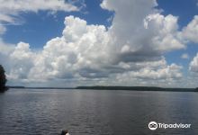 Lake Talquin State Forest景点图片