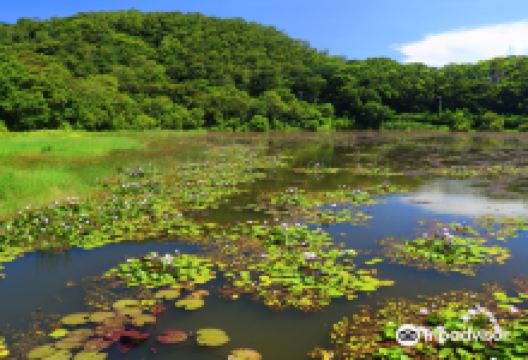 东源水上草原景点图片