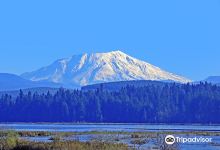 WA Parks Mt Saint Helens Interpretive Center景点图片