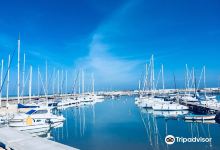 Porto Turistico di Civitanova Marche景点图片