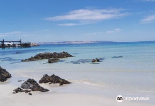 Penneshaw Beach景点图片