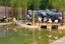Essex County Turtle Back Zoo景点图片