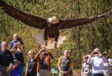 North Island Wildlife Recovery Centre景点图片