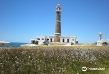 Beaches at Cabo Polonio景点图片