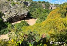 François Leguat Giant Tortoise and Cave Reserve景点图片