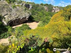 François Leguat Giant Tortoise and Cave Reserve-罗德里格斯岛