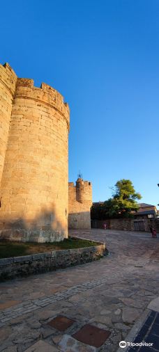Castillo de Los Condes de Benavente-普韦布拉桑纳比亚