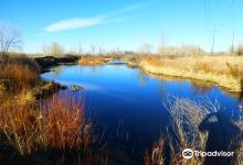 South Platte Park and Carson Nature Center景点图片