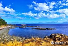 Neck Point Park景点图片