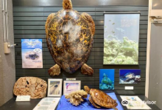 Southern Cross Center景点图片