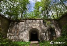 Fort d'Emines景点图片