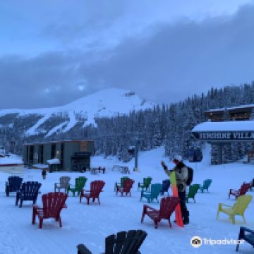 北贝特尔福德图片